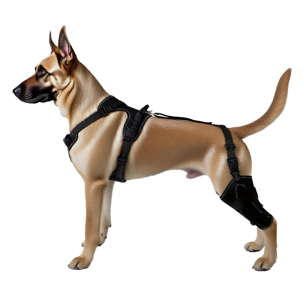 Pet Leg Joint Protection Sleeves