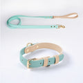 Leather Dog Leash and Collar Set