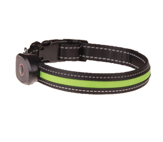 Luminous Dog Collar for Nighttime Visibility