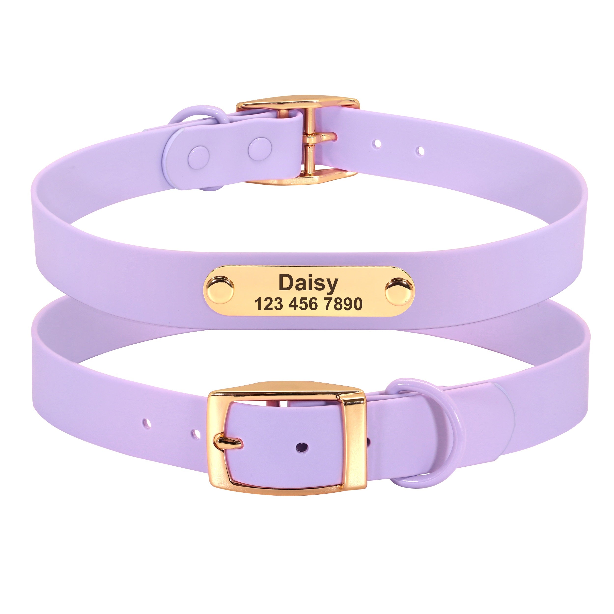 Medium Dog Collar and Leash for Teddy Breeds
