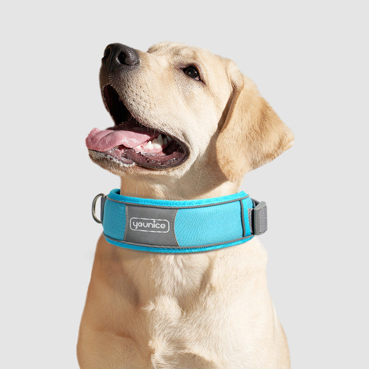 Cute Dog Collar and Leash - Explosion-Proof Design