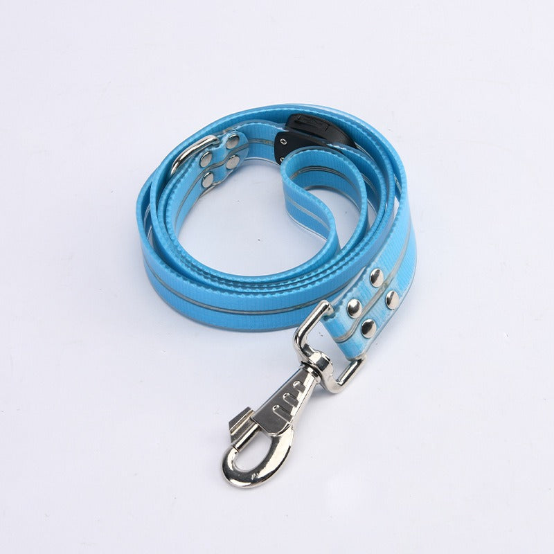 LED Light-Up Pet Collar & Leash