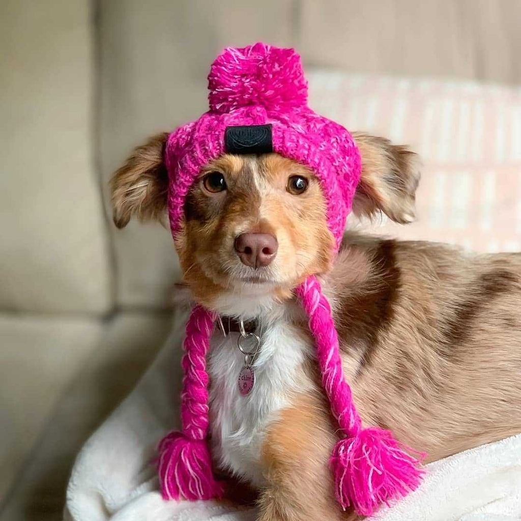Warm Fluffy Ball Knit Dog Hat