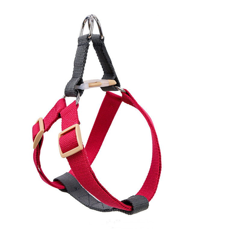 Leash for Medium and Large Dogs