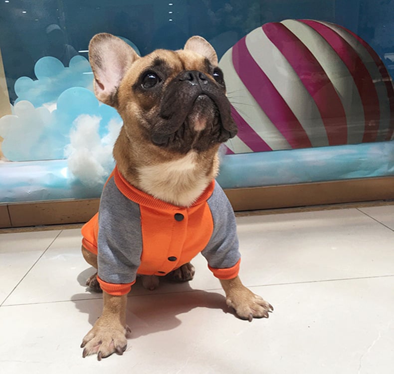 Plus Velvet Sweater for Small and Medium Pugs