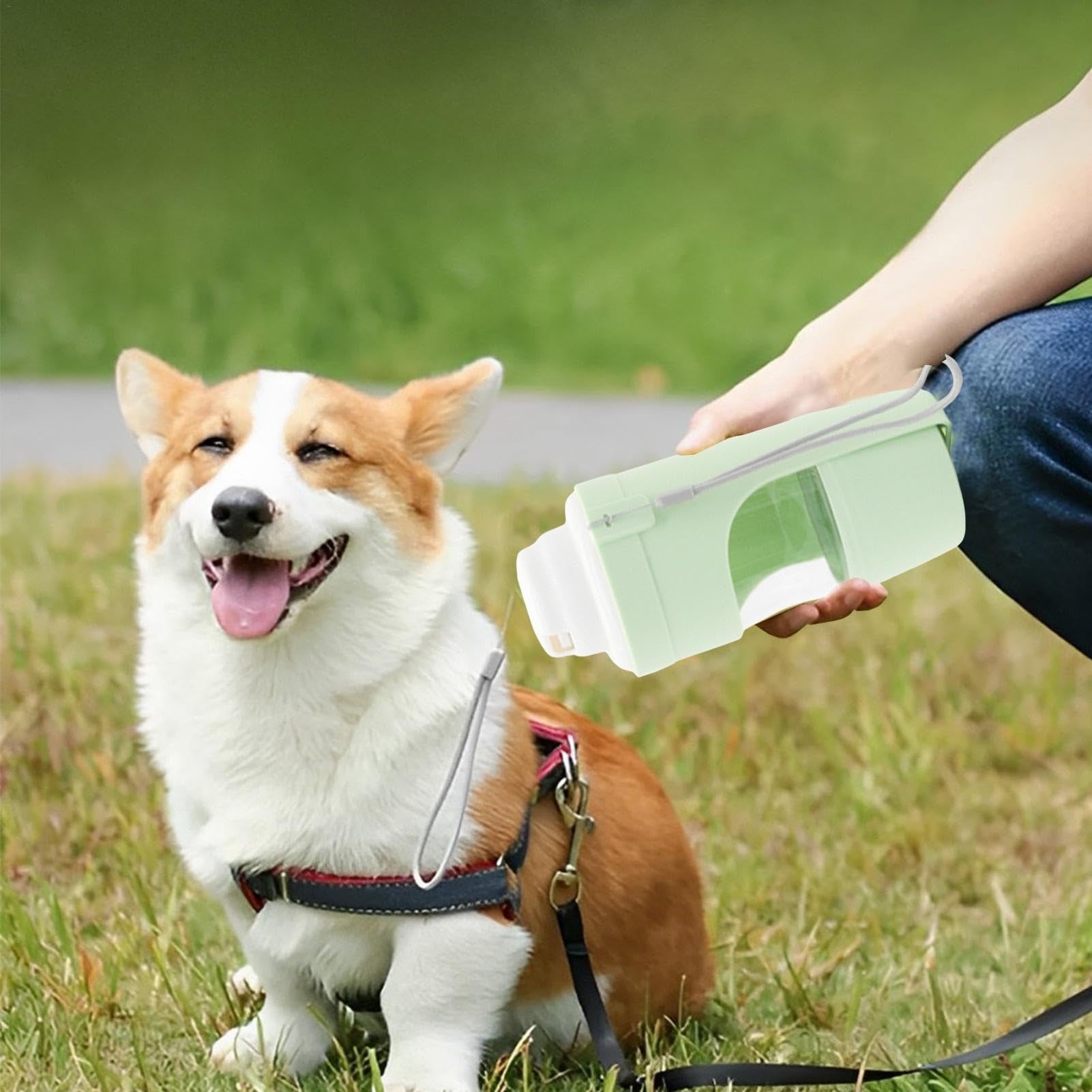 2-in-1 Travel Dog Water Bottle and Feeder