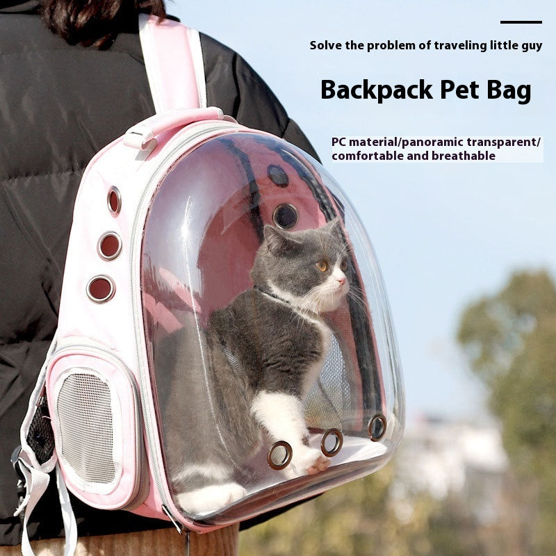 Transparent Cat Backpack