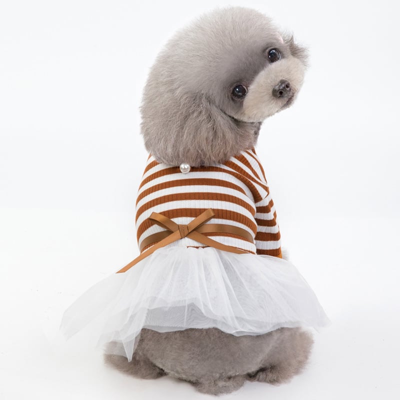 Spring and Summer Dog Clothes for Pets