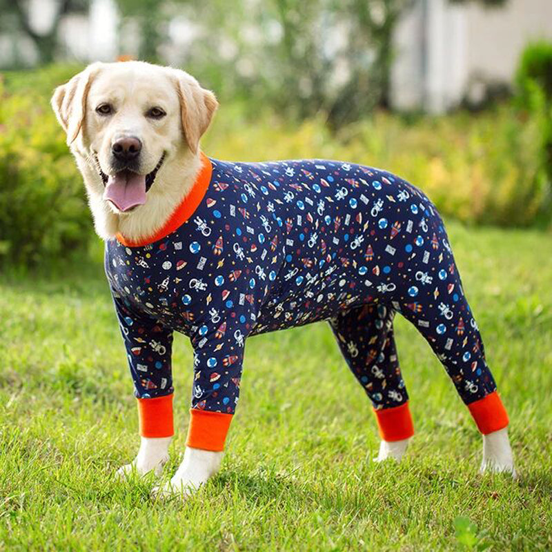 Golden Labrador Dog Hair Removal Joint Protection Suit