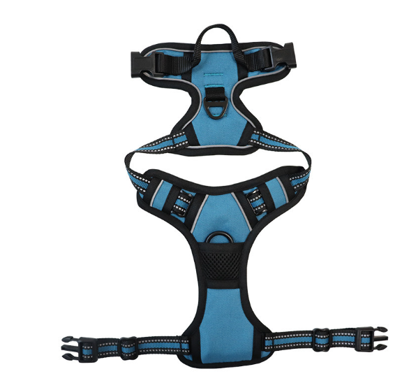 Dog Harness with Leash