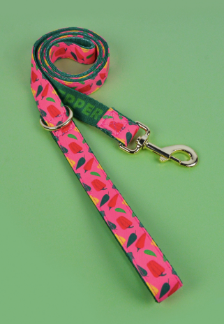 Heart Pattern Pet Leash