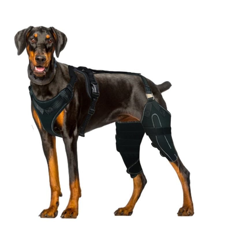 Dog Thigh Protective Sleeve with Metal Support
