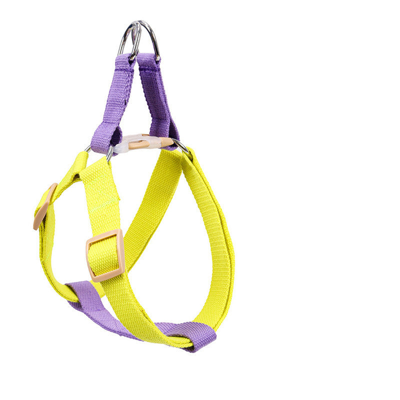 Leash for Medium and Large Dogs