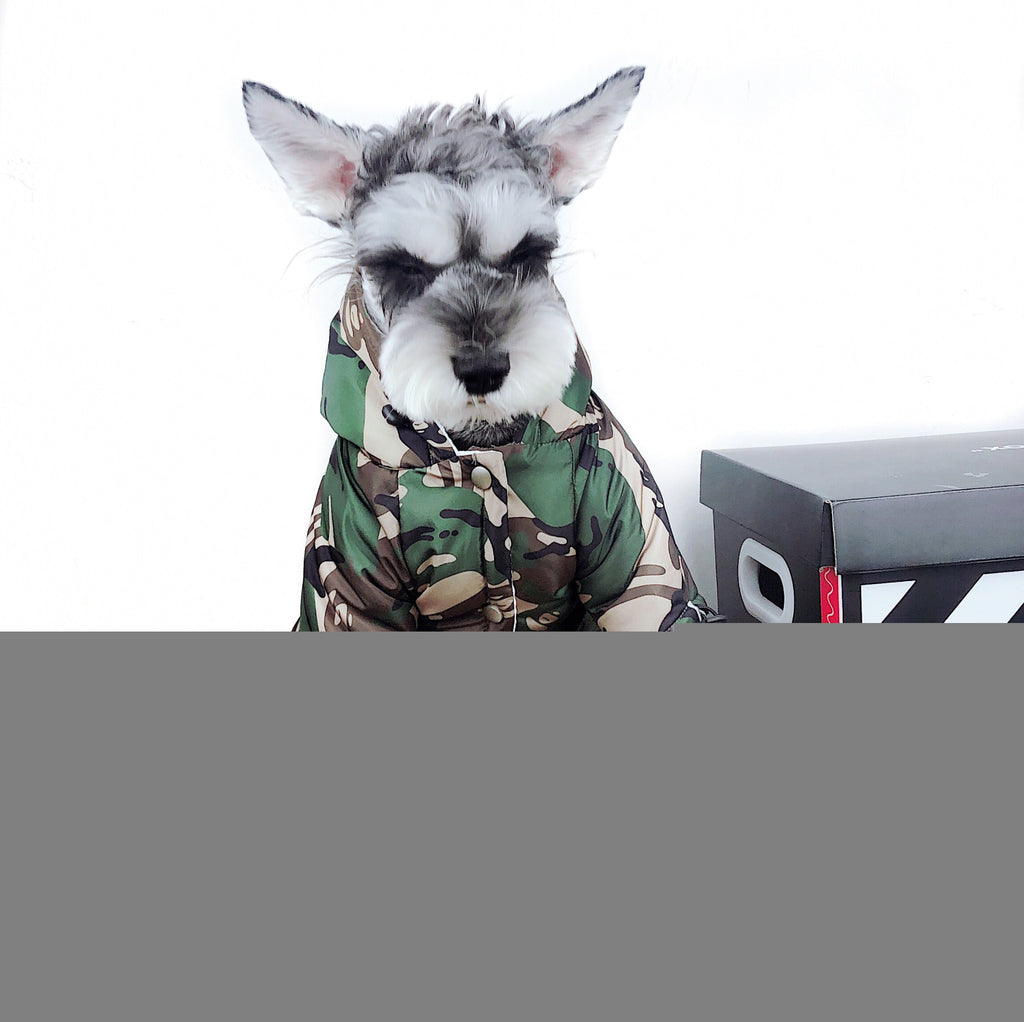 Waterproof Camouflage Raincoat for Dogs (Teddy & Schnauzer)