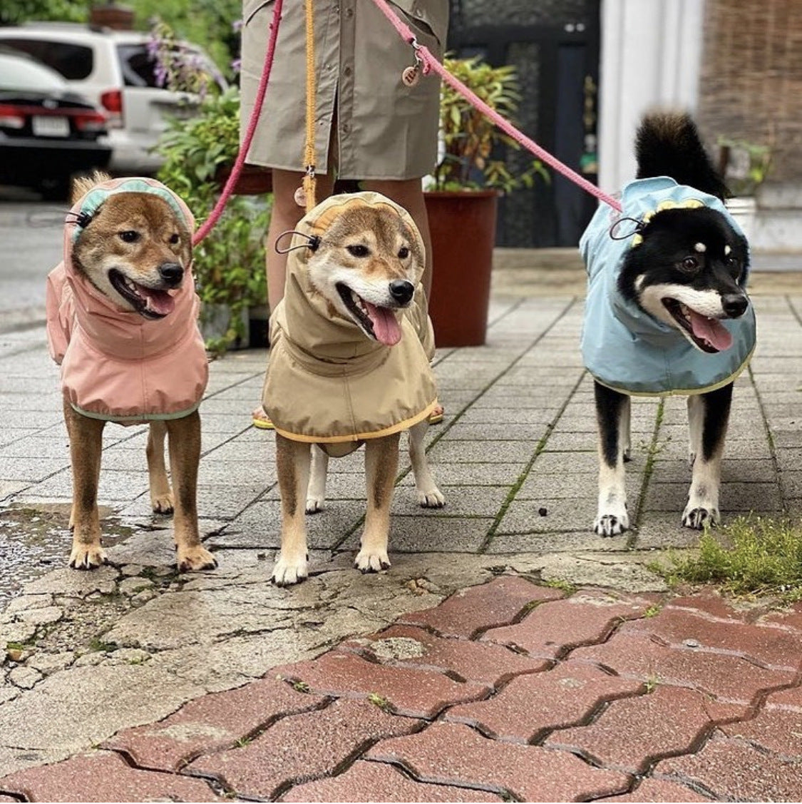 Dog Raincoats for Large Breeds - Safe Walking Design