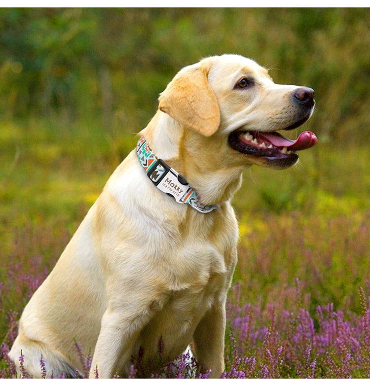 Floral Dog Collar with Engraving for Small to Large Breeds