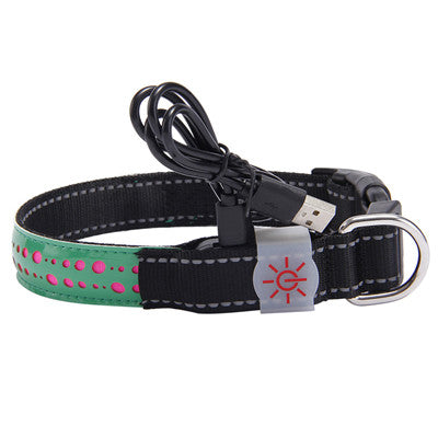 LED Glow Pet Collar with Light-Up Features