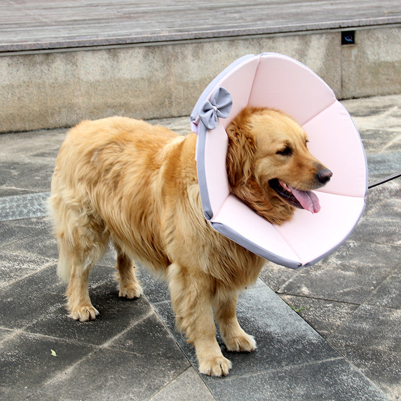 Dog Recovery Care Collar for Sick Pets