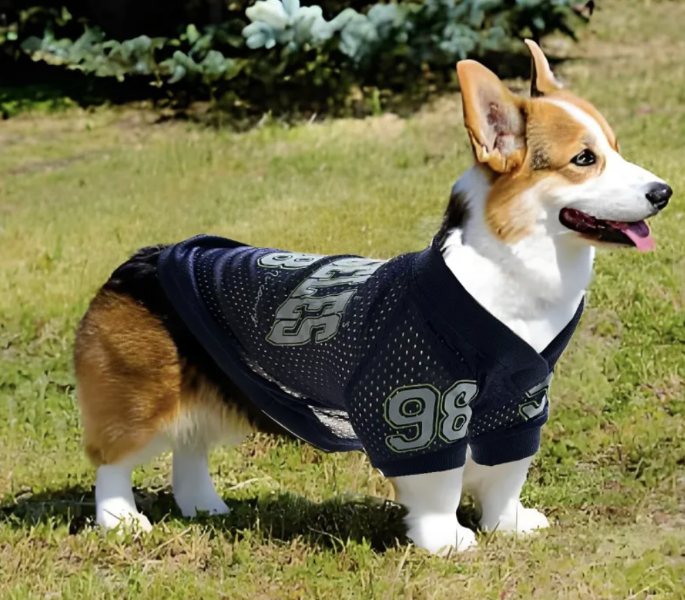 Dog Sun Protection Outdoor Sports Shirt
