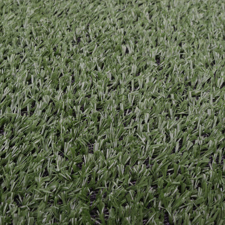 Pet Cushion and Grass Dog Toilet