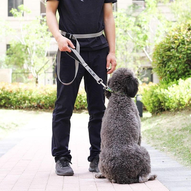 Multi-Functional Running Dog Leash