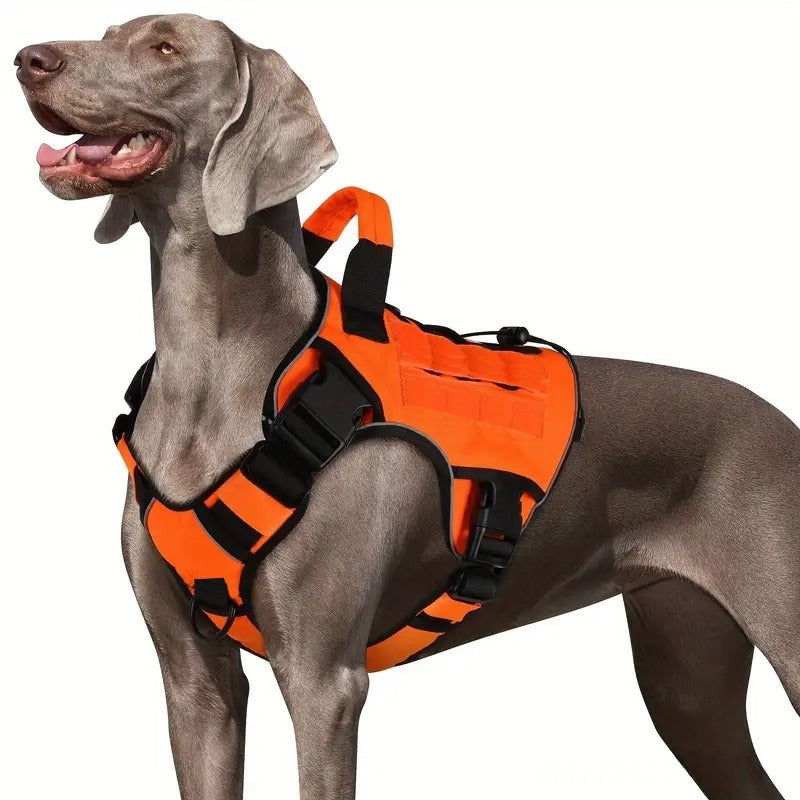 Adjustable Nylon Dog Harness for Medium and Large Breeds