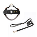Chest Back Airtag Holder with Dog Traction Rope