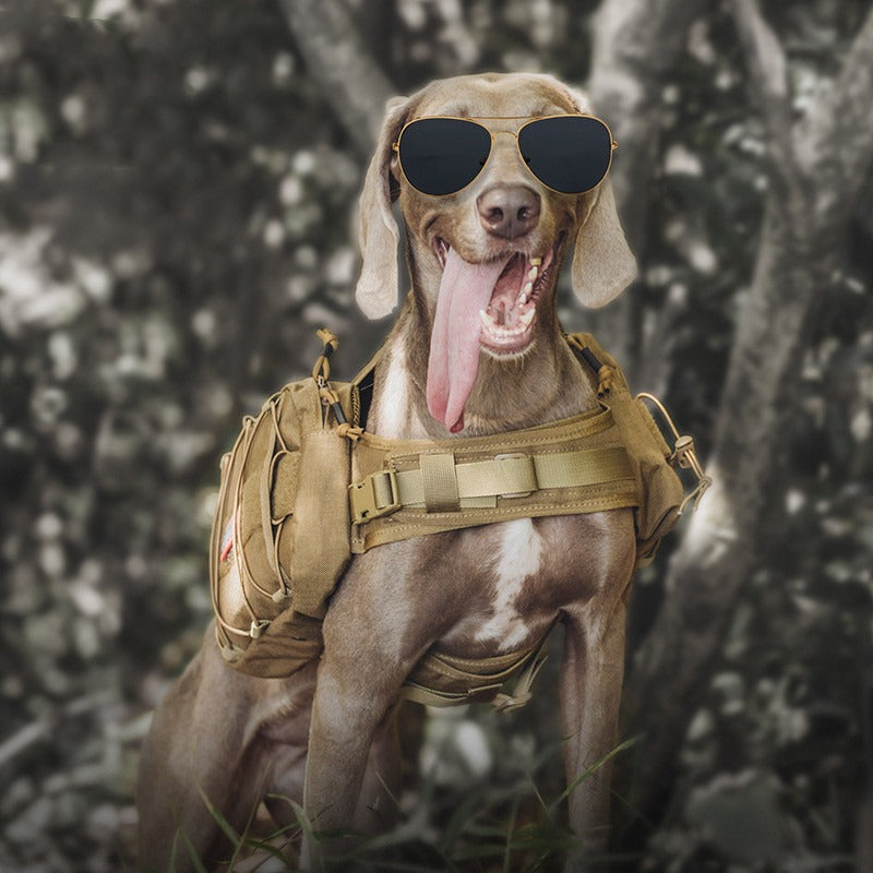 Dog Outdoor Travel Harness Bag