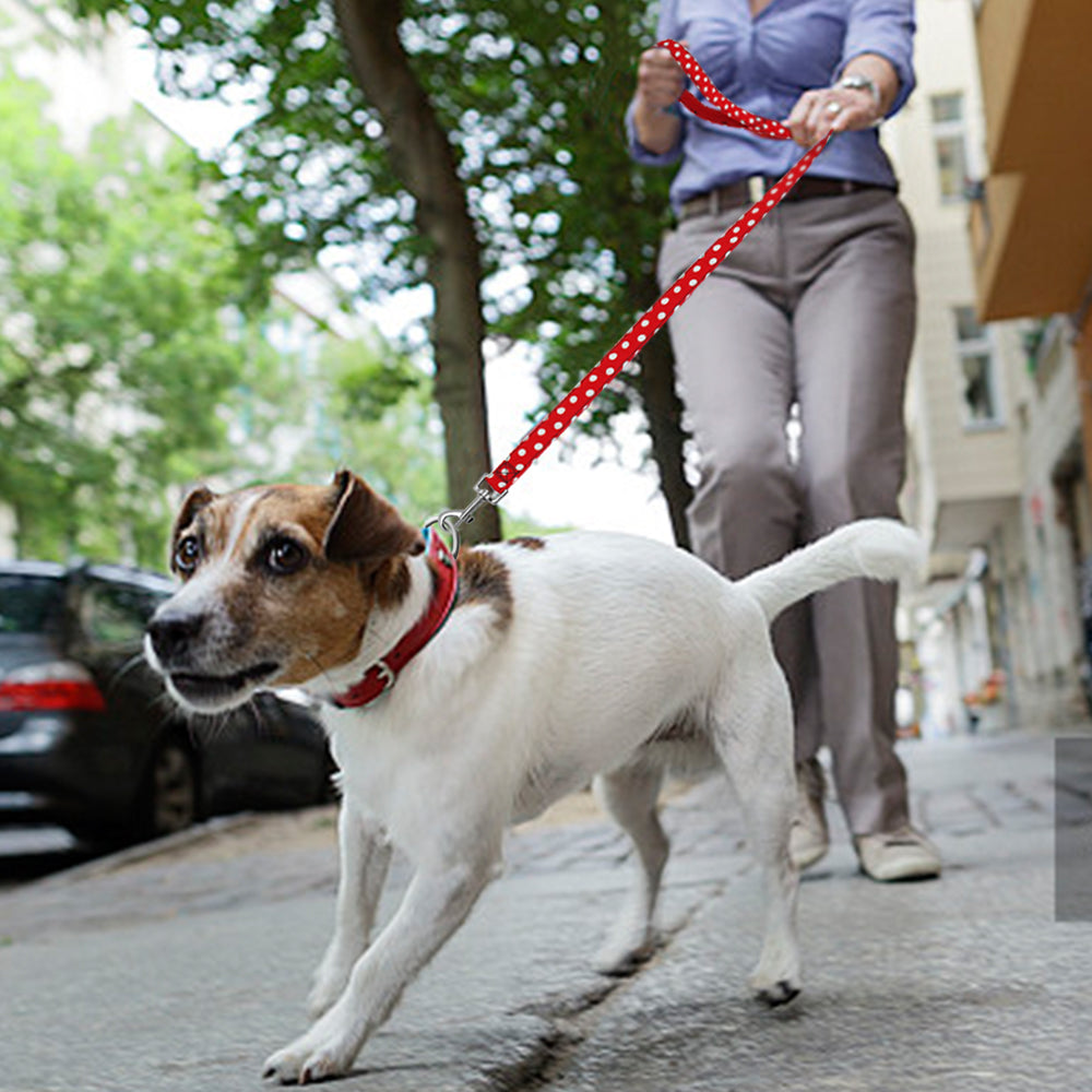 4ft Soft Nylon Polka Dot Dog Leash for Small Pets