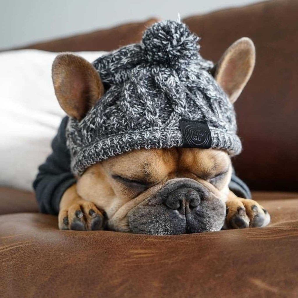 Winter Dog Pom Hat Knitted Warm