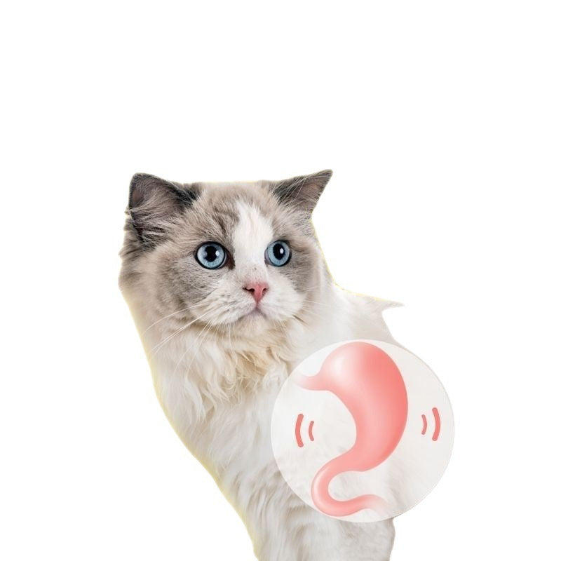 Cat Gall Fruit Stick Molar Chew Toy