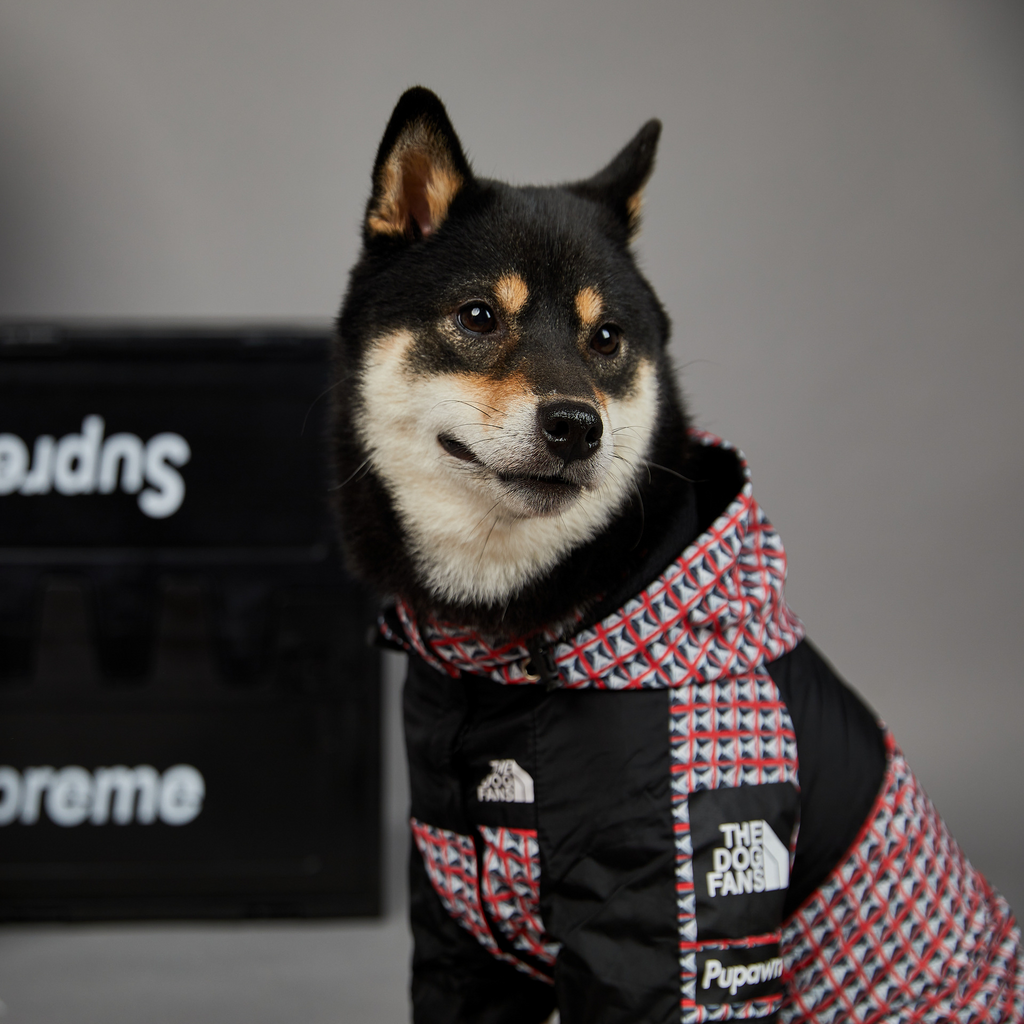 Dog Raincoat