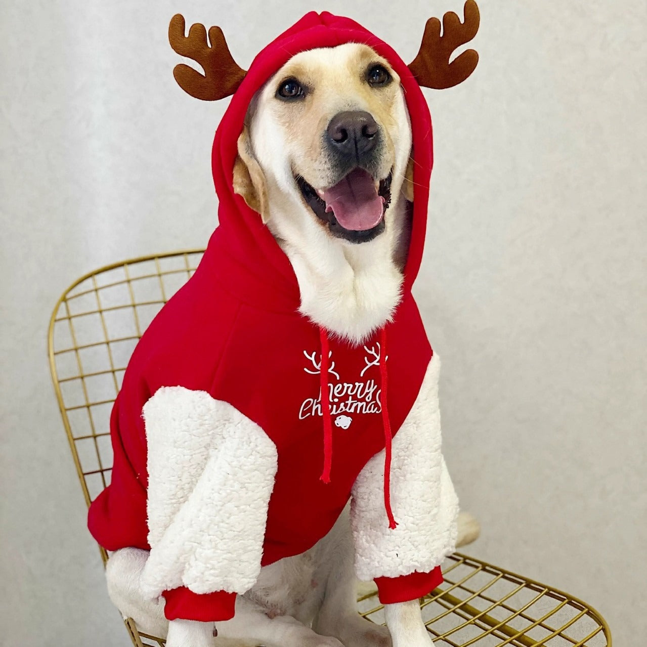 Pet Fleece Dog Sweatshirt
