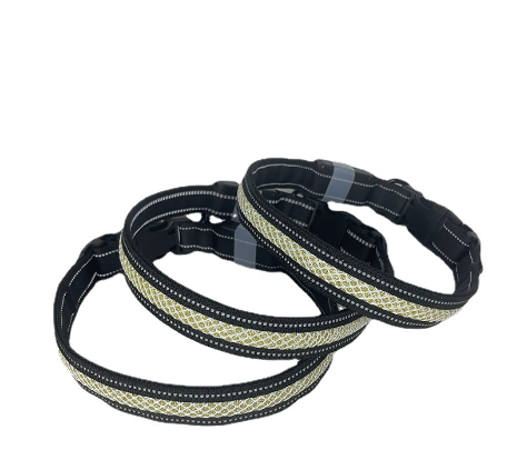 LED Light Up Dog Collar for Night Safety