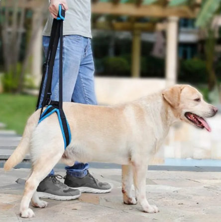 Support Lift Pet Harness
