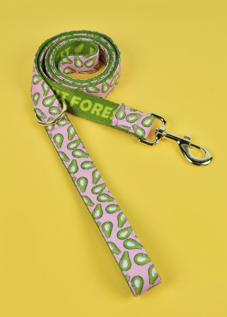 Heart Pattern Pet Leash