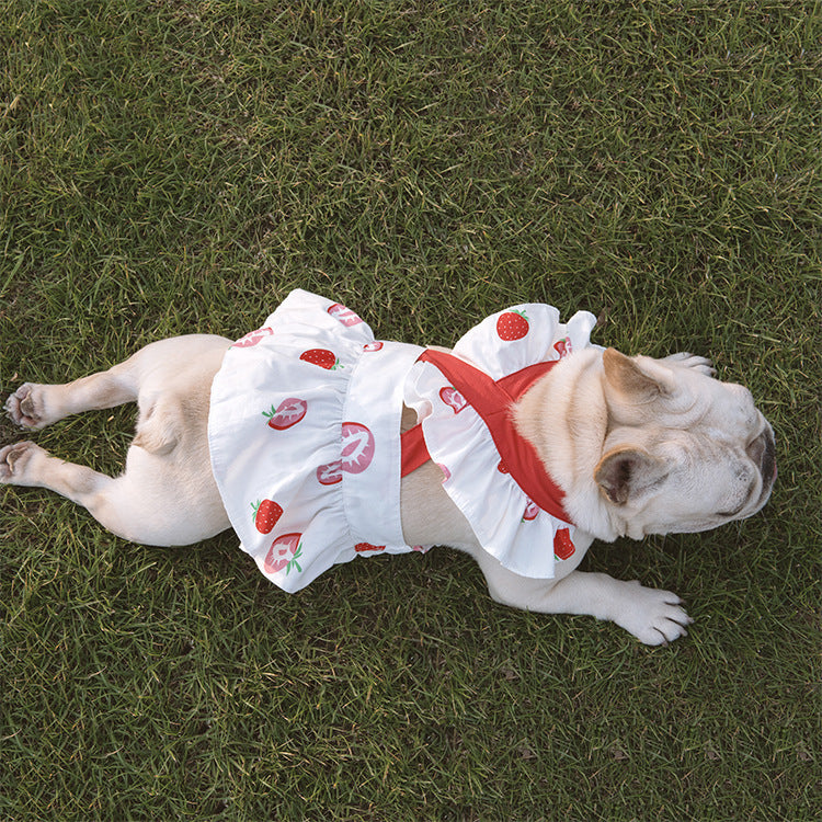 Lotus Leaf Lace Suspender Skirt for Small Pets