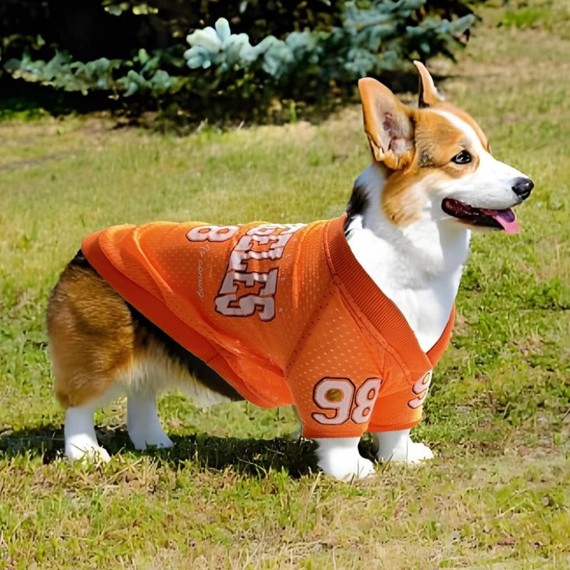 Dog Sun Protection Outdoor Sports Shirt