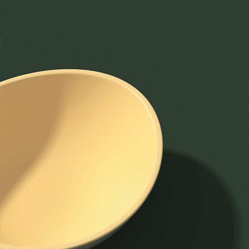 Cat and Dog Bowls with Anti-Spill Double Design