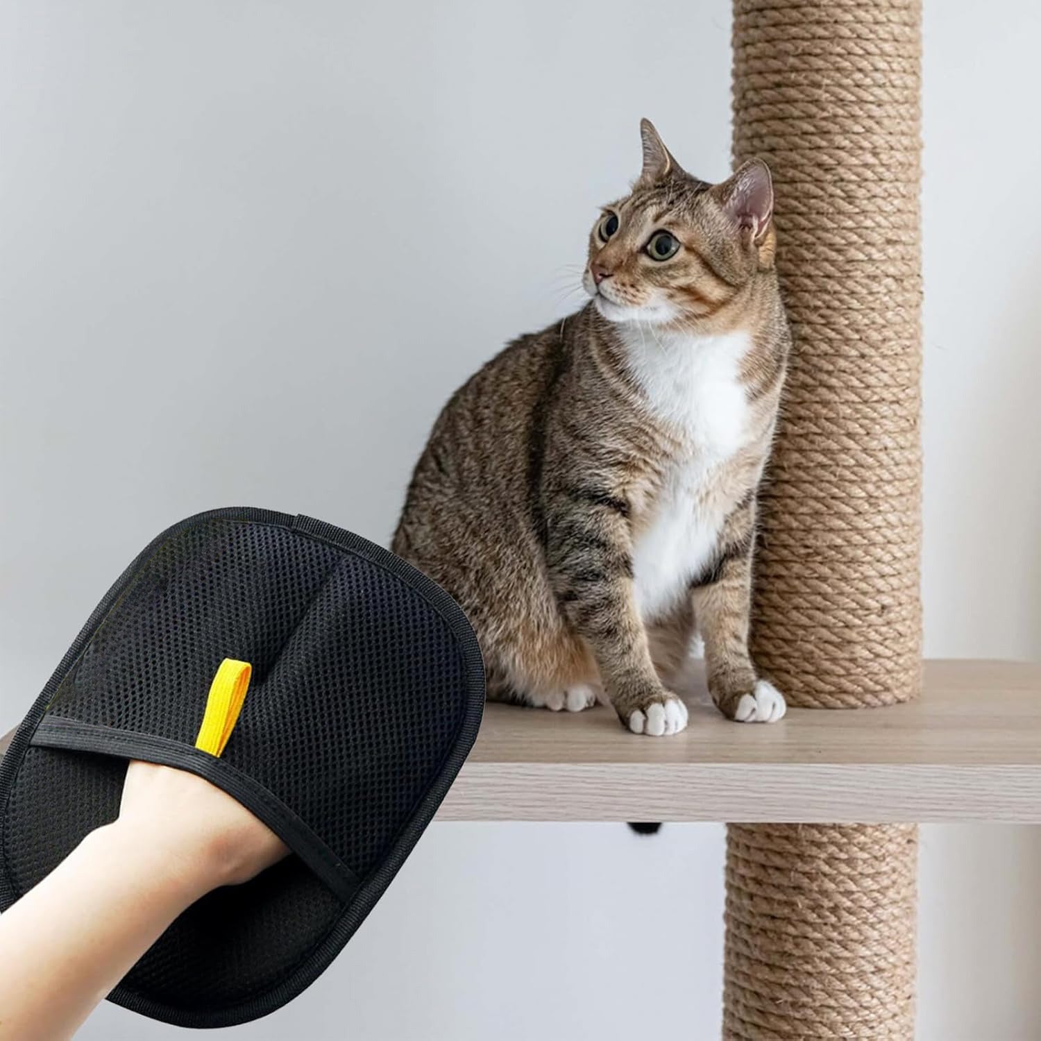 Pet Hair Removal Gloves Bristle Remover Comb