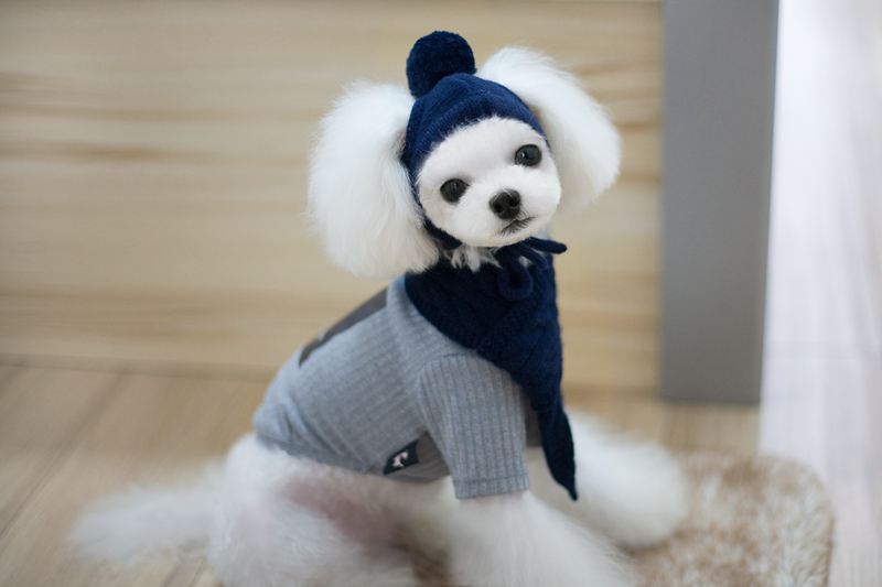 Trendy Pet Apparel Set with Hat and Scarf for Dogs