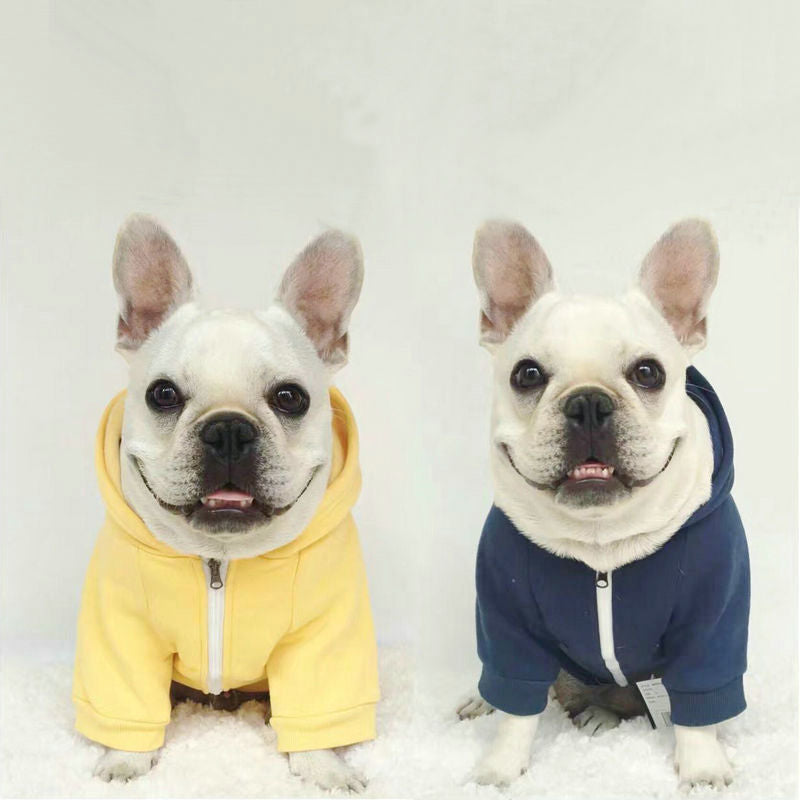 Autumn Fashion Dog Sweatshirt with Simple Letters