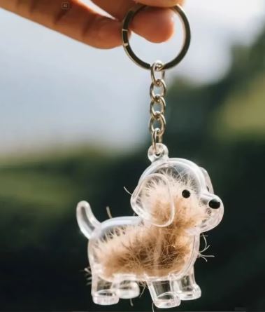 Puppy Fur Keepsake Transparent Storage Box