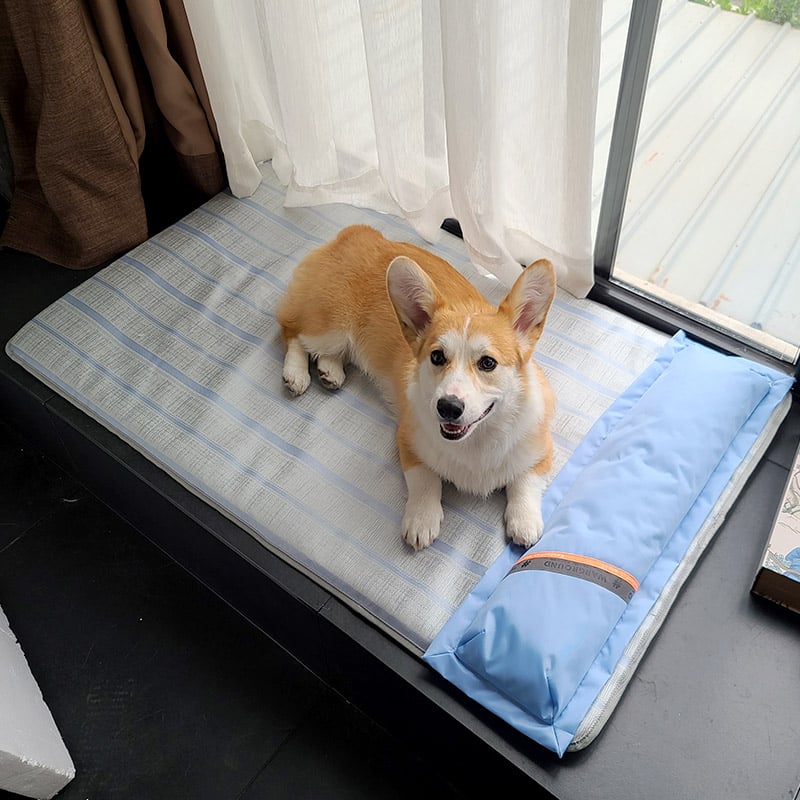 Summer Anti-Bite Dog and Cat Sleeping Mat