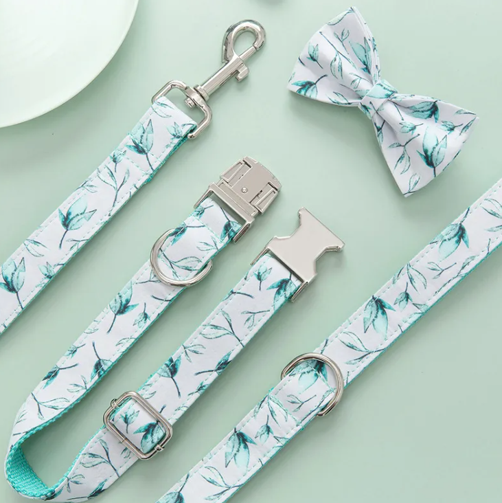 Pet Leash