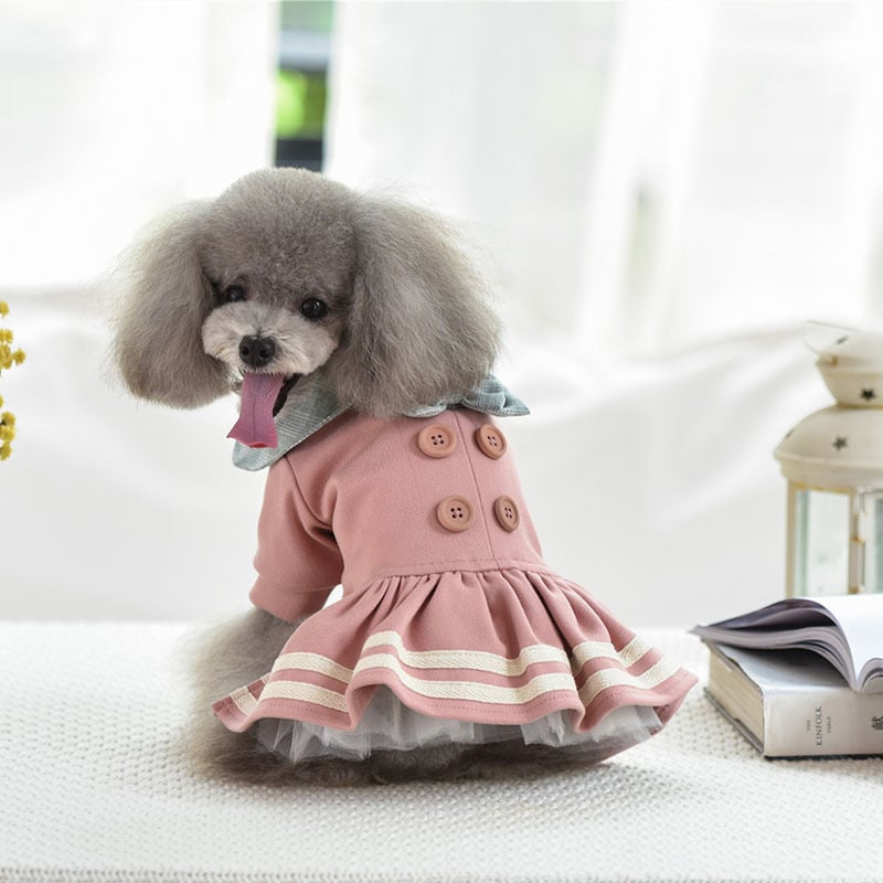 Autumn Winter Princess Dress for Pets