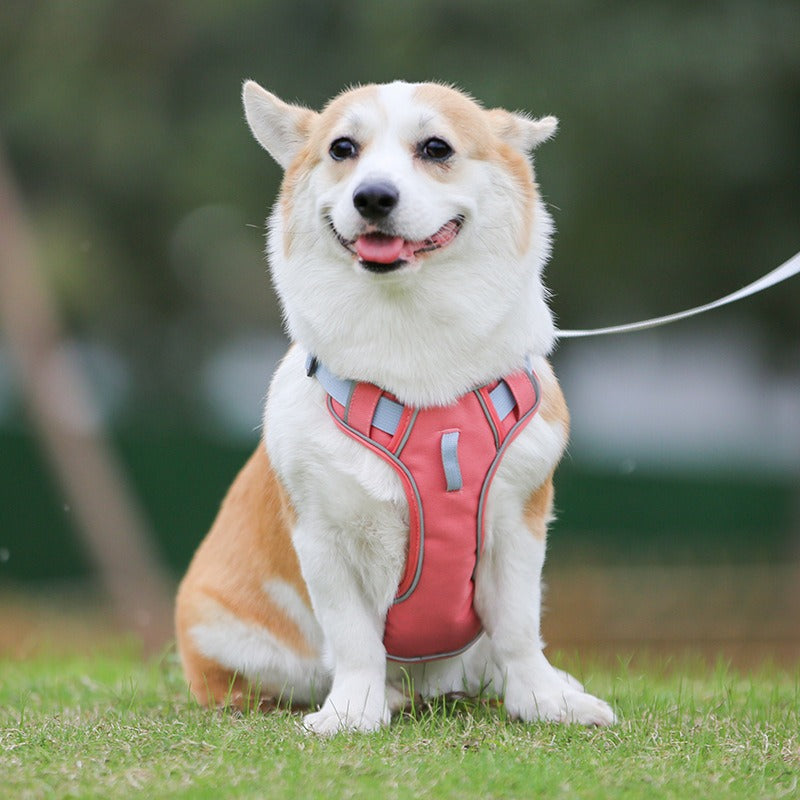 Large Anti Slip Pet Chest Harness
