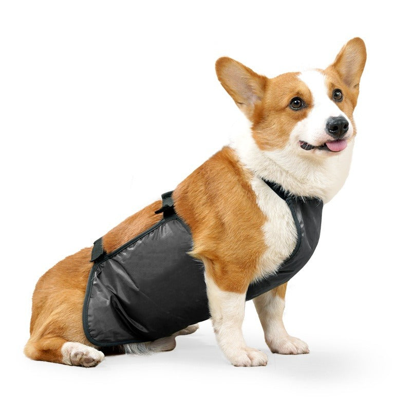 Water Resistant Dog Apron