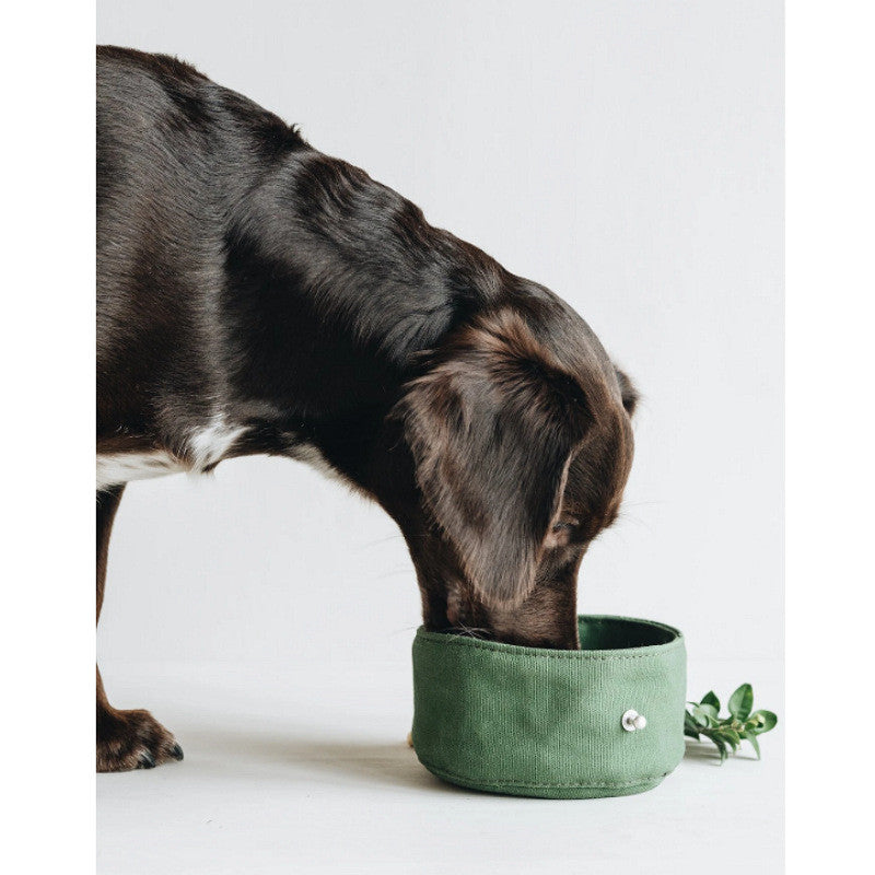 Portable Folding Dog Bowl and Pet Ration Bag