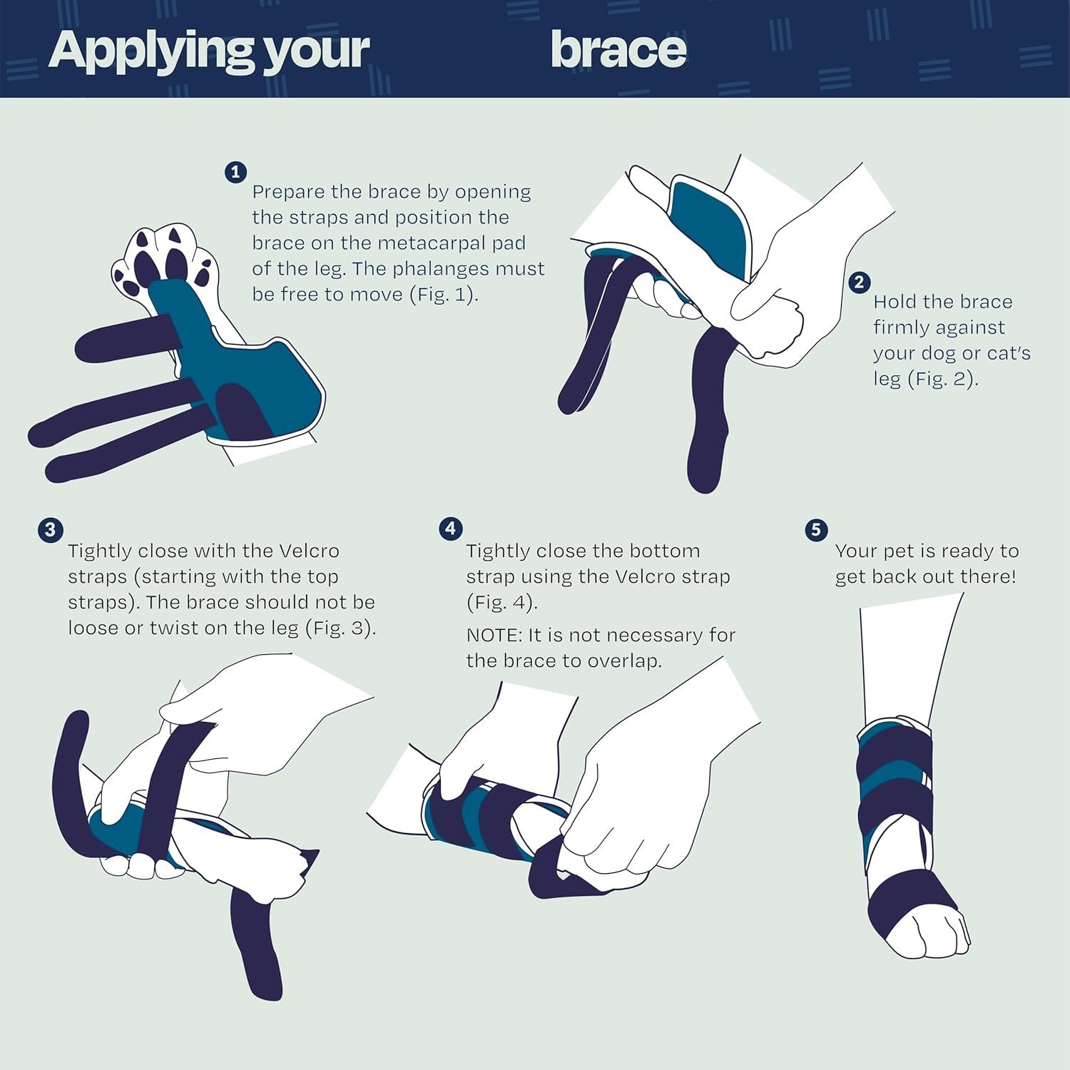 Cat Foreleg Injury Support Brace